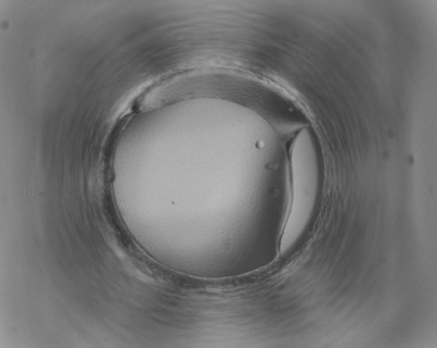 X0000068320580200605192035