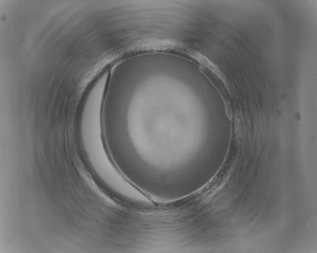 X0000068320581200605192035