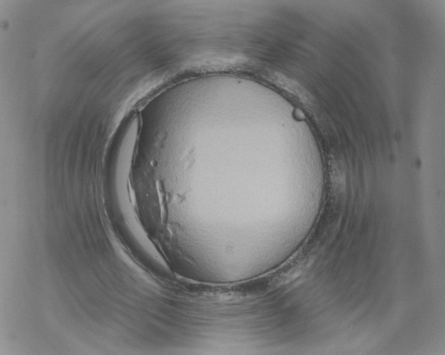 X0000068320582200605192035