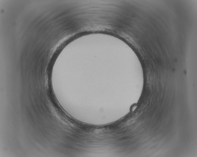 X0000068320584200605192035