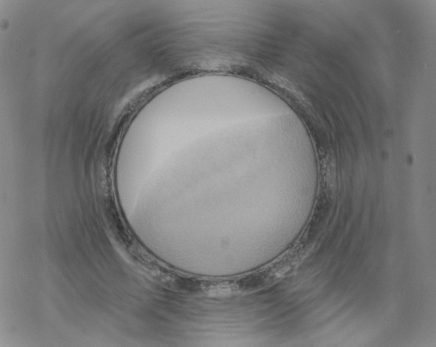 X0000068320587200605192035