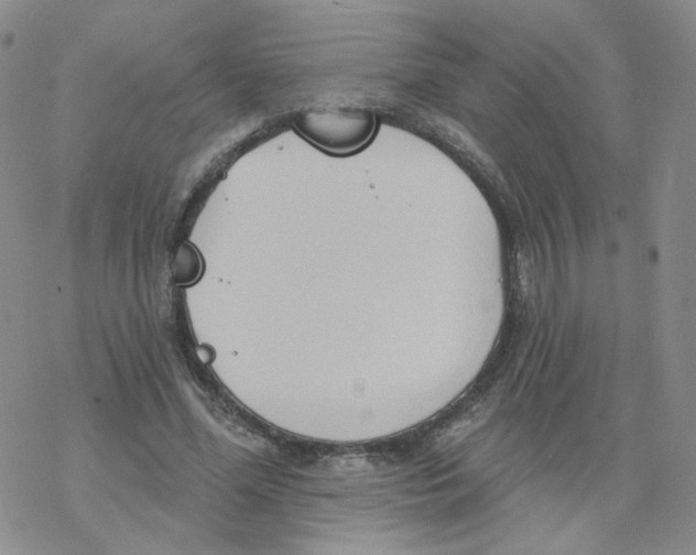 X0000068320588200605192035