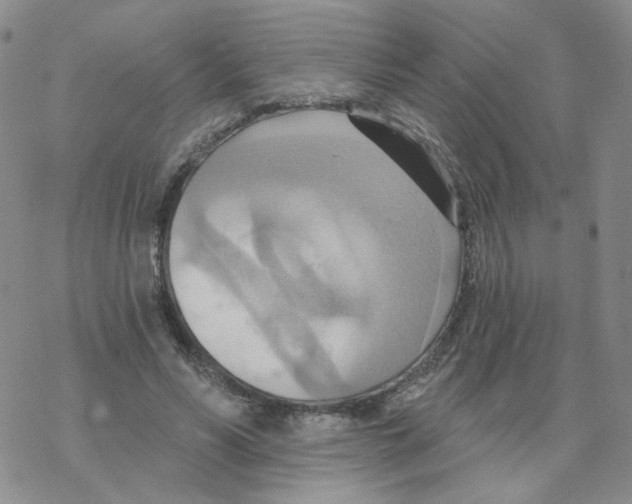 X0000068320590200605192035