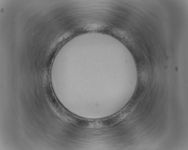 X0000068320591200605192035