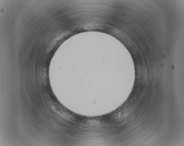 X0000068320592200605192035