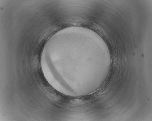 X0000068320594200605192035