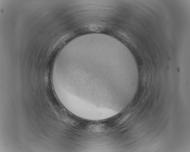 X0000068320595200605192035