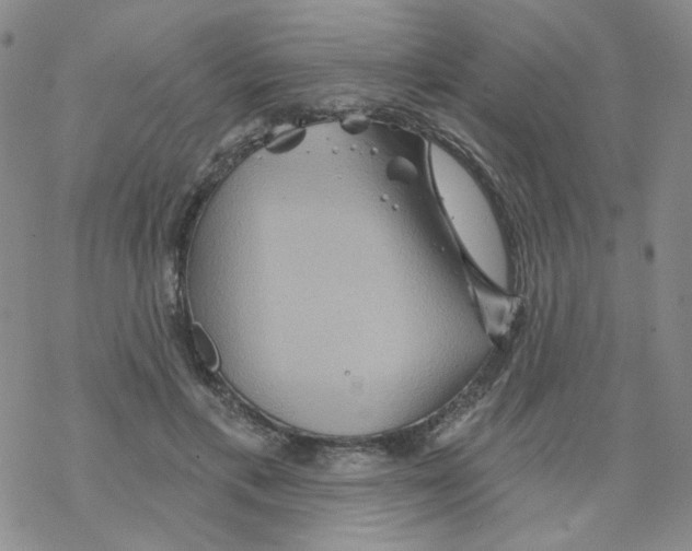 X0000068320597200605192035