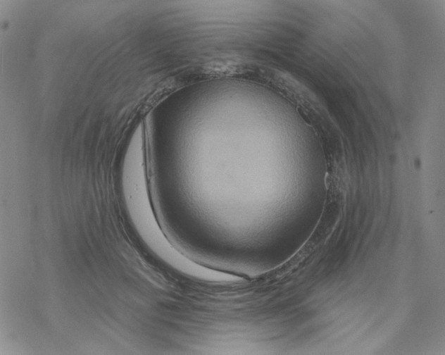 X0000068320601200605192035