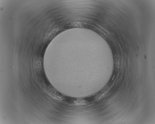 X0000068320603200605192035