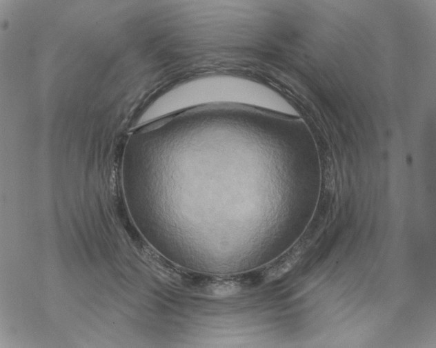 X0000068320604200605192035