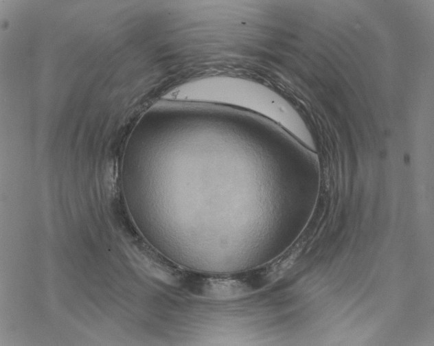 X0000068320605200605192035