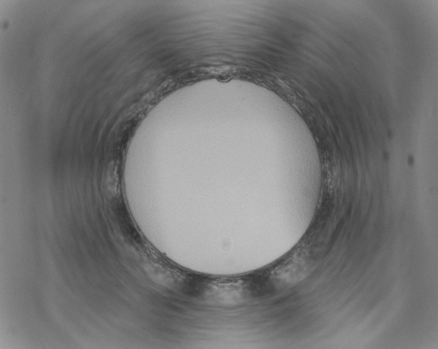 X0000068320606200605192035