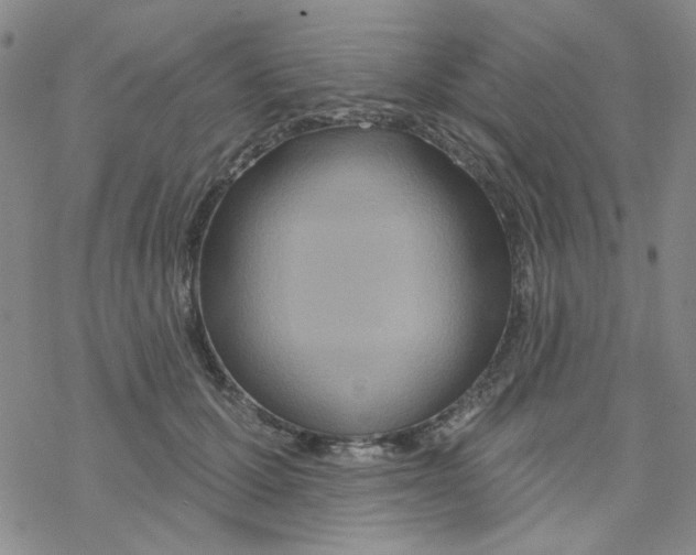 X0000068320607200605192035