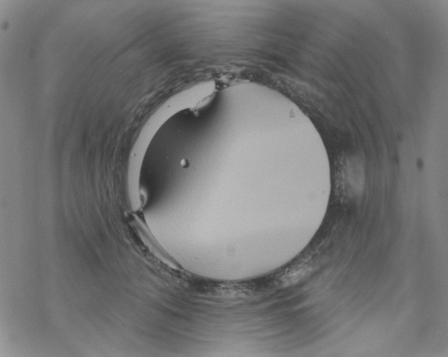 X0000068320608200605192035