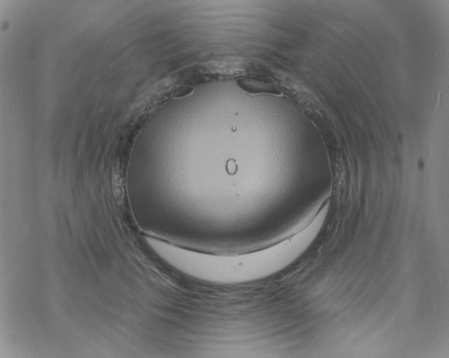 X0000068320609200605192035