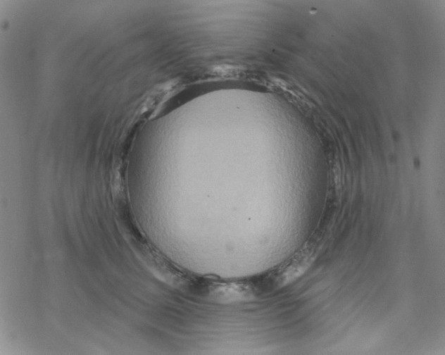 X0000068320611200605192035