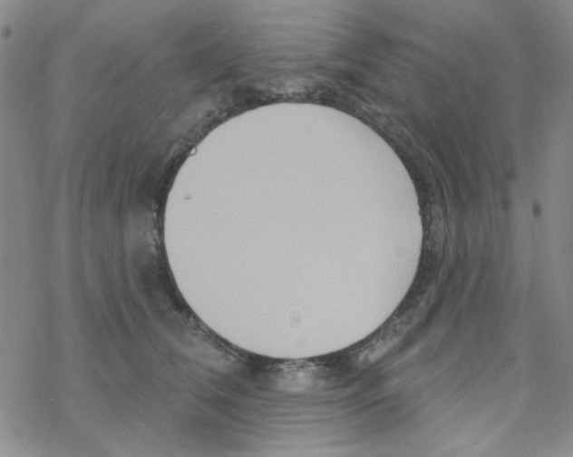 X0000068320612200605192035