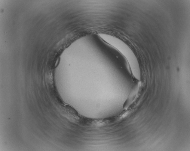 X0000068320613200605192035