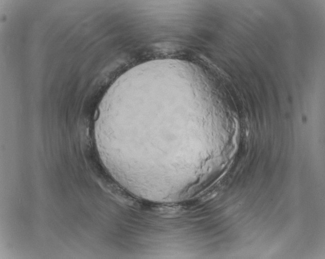 X0000068320615200605192035