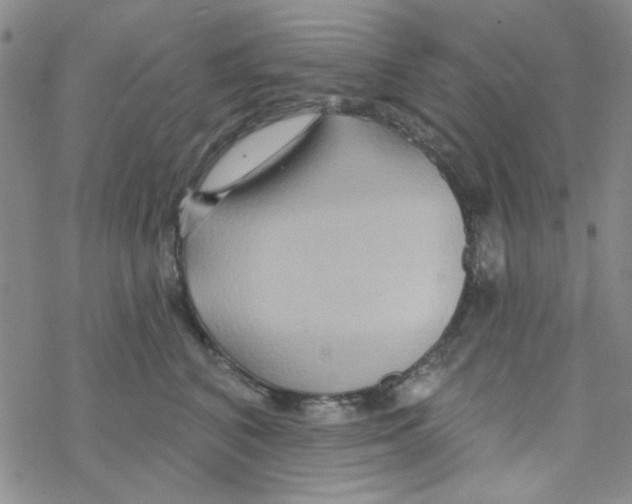 X0000068320616200605192035