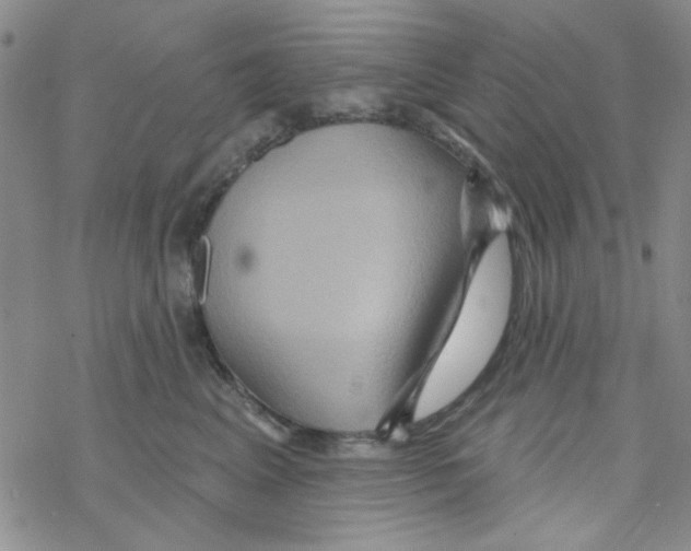 X0000068320617200605192035