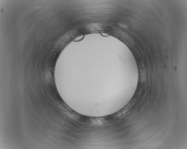 X0000068320618200605192035