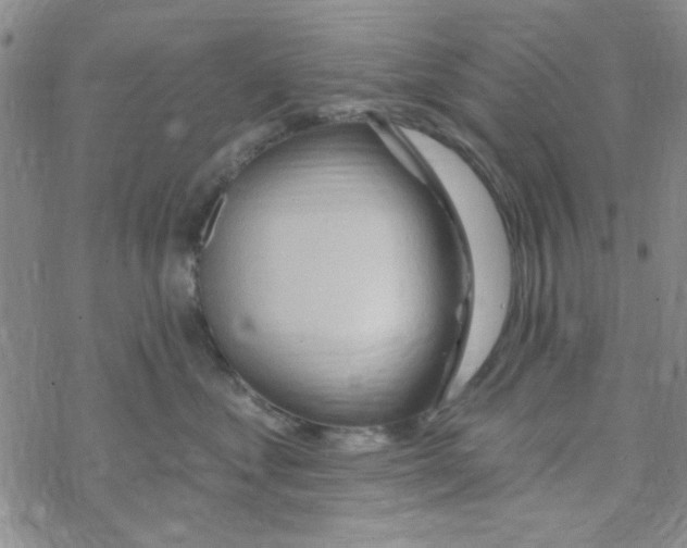 X0000068320621200605192035