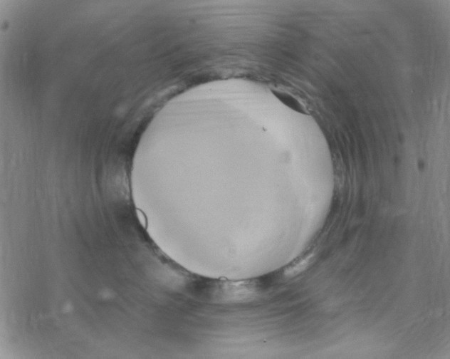 X0000068320622200605192034