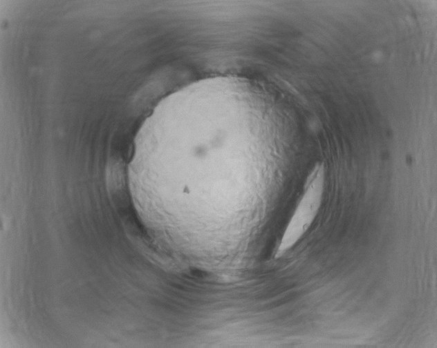 X0000068320623200605192034