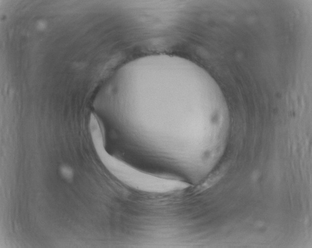 X0000068320624200605192034