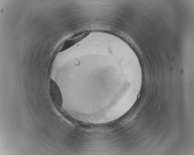 X0000068320625200605192034