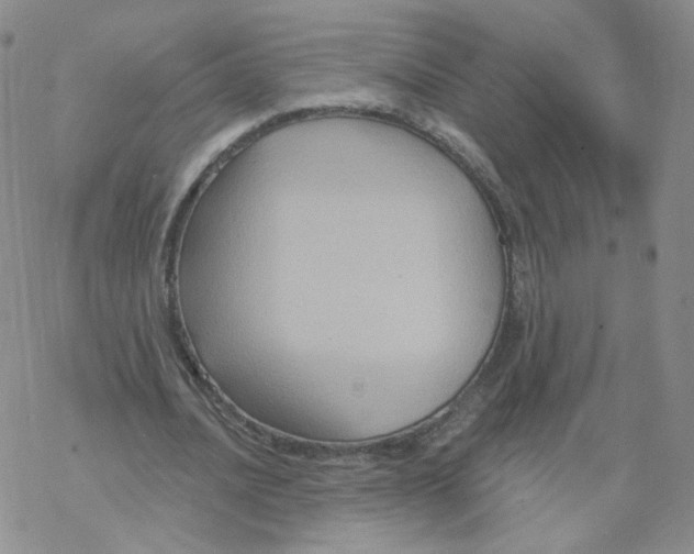 X0000068320628200605192034