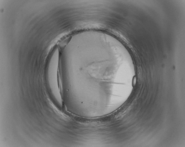 X0000068320629200605192034