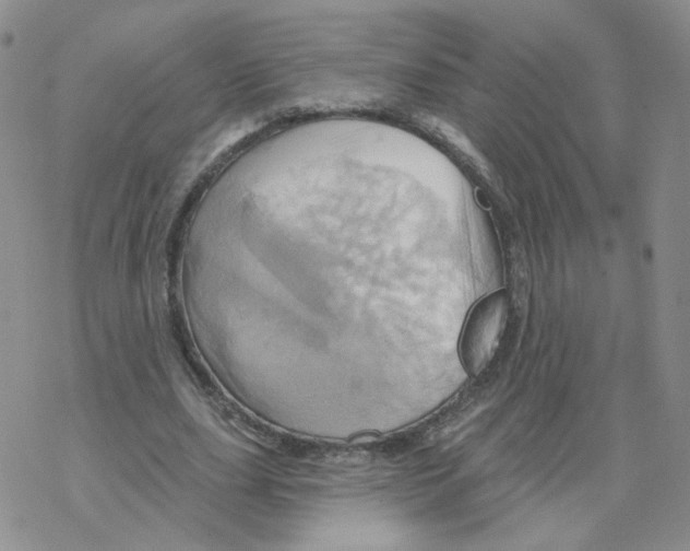 X0000068320631200605192034