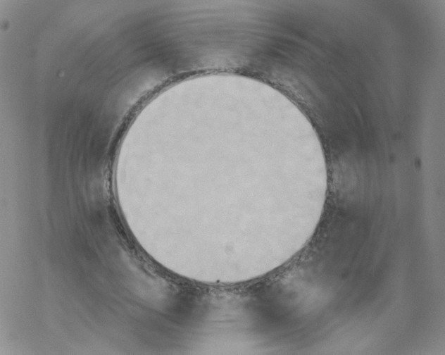 X0000068320632200605192034