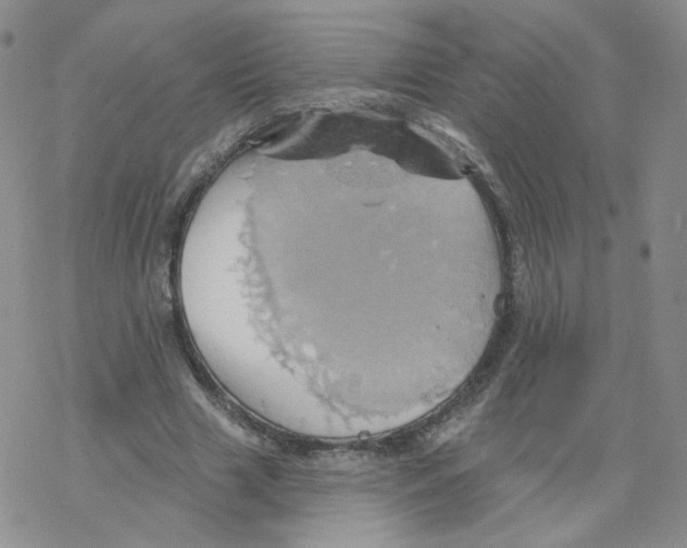 X0000068320633200605192034