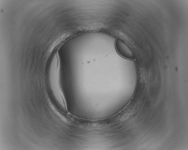 X0000068320634200605192034