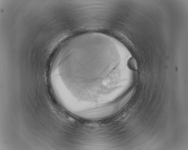 X0000068320635200605192034