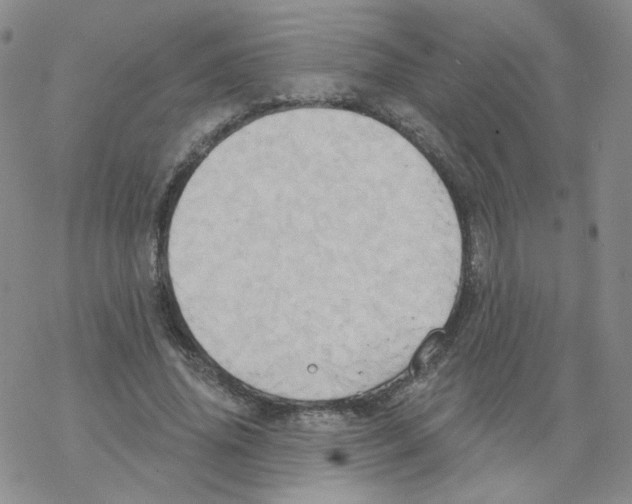 X0000068320636200605192034