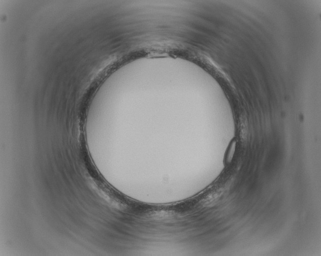 X0000068320637200605192034