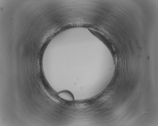 X0000068320638200605192034