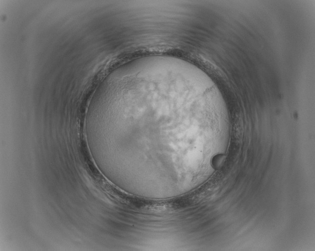 X0000068320639200605192034