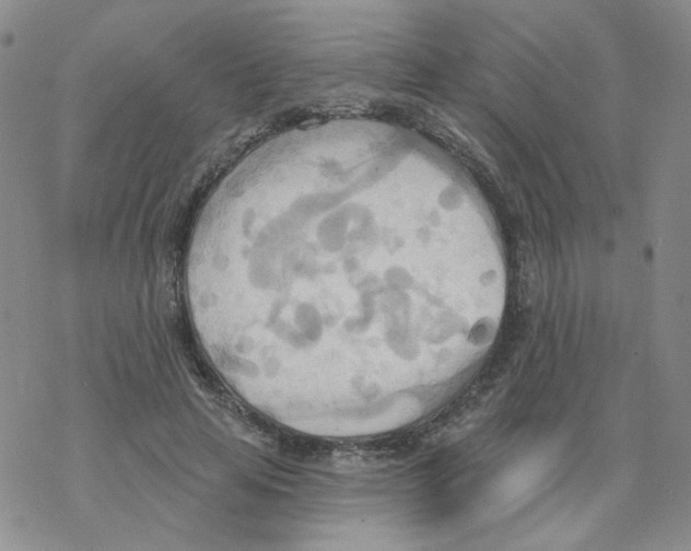 X0000068320641200605192034