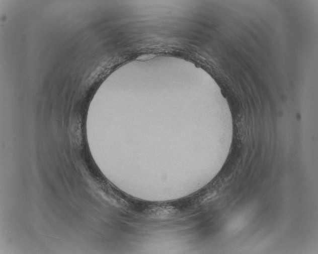 X0000068320642200605192034