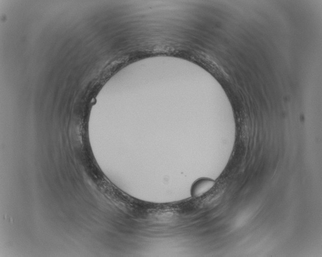 X0000068320643200605192034