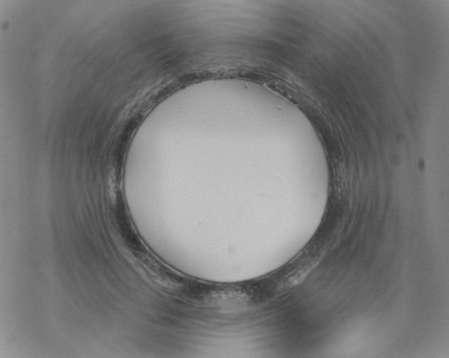 X0000068320644200605192034