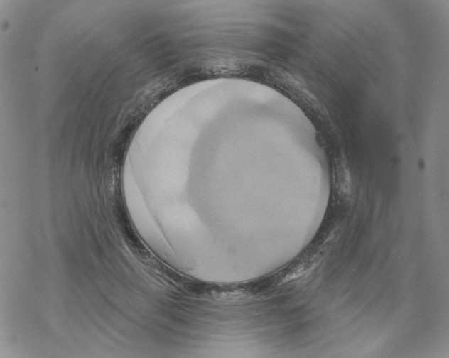 X0000068320645200605192034