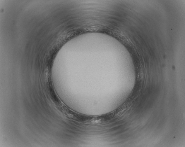 X0000068320647200605192034