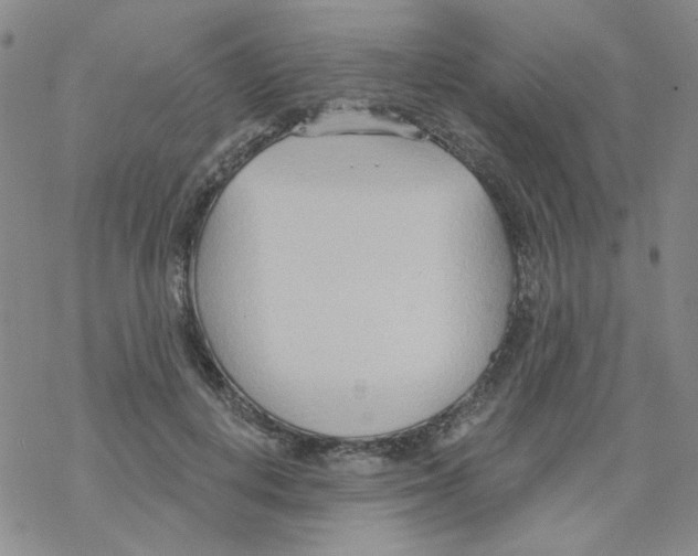 X0000068320648200605192034